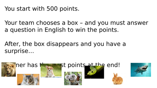 Revision Game