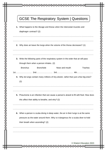 GCSE Biology - The Respiratory System Practice Questions