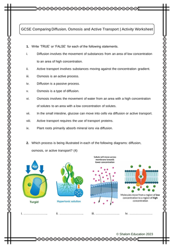 GCSE Biology - Comparing Diffusion, Osmosis and Active Transport Activity Worksheet
