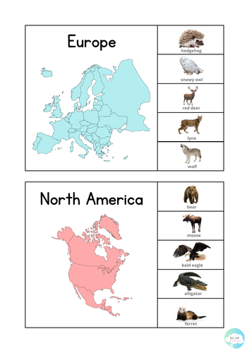 Animal Continents Differentiated Activity Sheets - 2 levels of difficulty