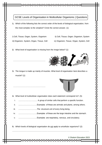GCSE Biology - Levels of Organisation in Multicellular Organisms Practice Questions