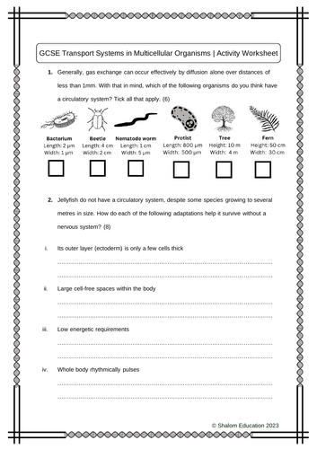 GCSE Biology - Transport Systems in Multicellular Organisms Activity Worksheet