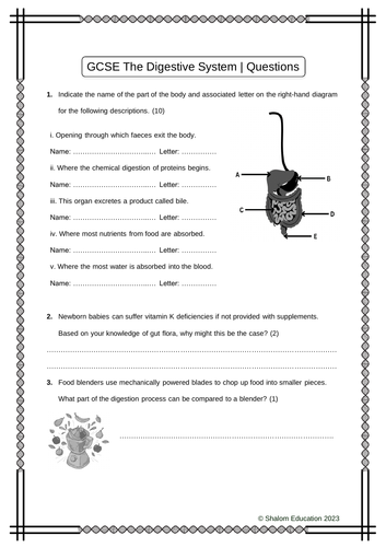 GCSE Biology - The Digestive System Practice Questions
