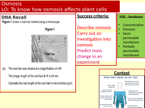 Osmosis including required practical Edexcel GCSE Combined Science Biology