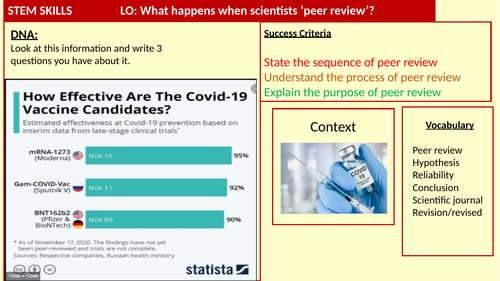 Peer Review Lesson