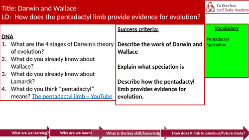 Pentadactyl Limb Edexcel