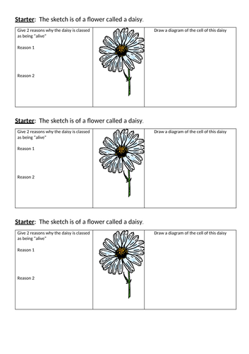 estimating plant populations IGCSE Biology