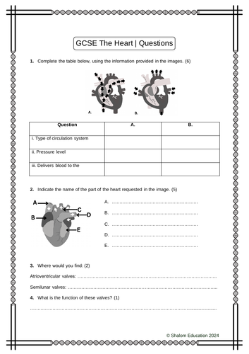 GCSE Biology - The Heart Practice Questions