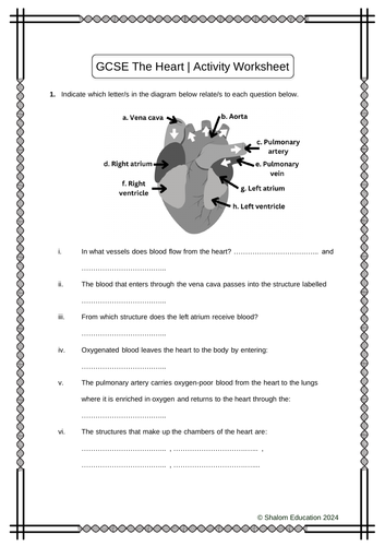 GCSE Biology - The Heart Activity Worksheet