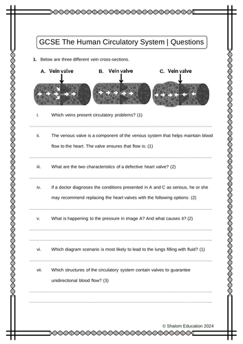 GCSE Biology - The Human Circulatory System Practice Questions