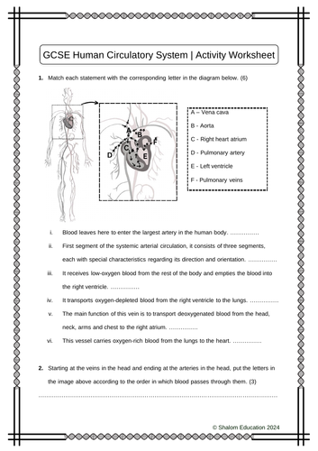 GCSE Biology - The Human Circulatory System Activity Worksheet ...