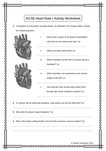 GCSE Biology - Heart Rate Activity Worksheet