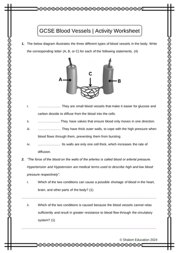 GCSE Biology - Blood Vessels Activity Worksheet