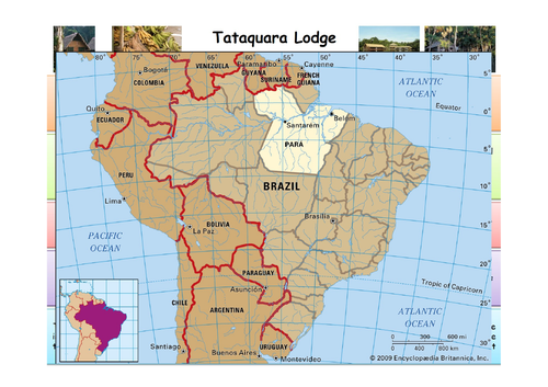 KS3 Geography - Why are the rainforests so important? L6. How can we use the rainforest more sustain