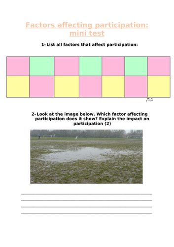 Factors affecting participation mini test