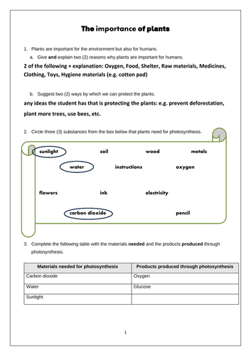 The importance of plants KS3 assessment and solutions