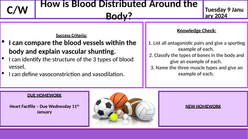 Blood Vessels and Blood Distribution Lesson