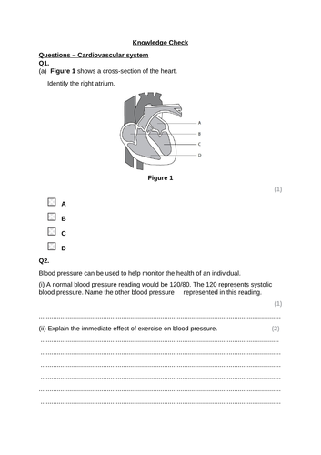 Components of Blood Lesson