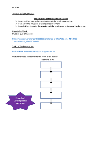 Structure of the Respiratory System Lesson