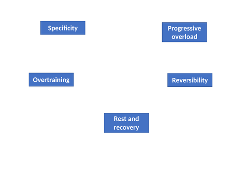 Principles of Training Lesson