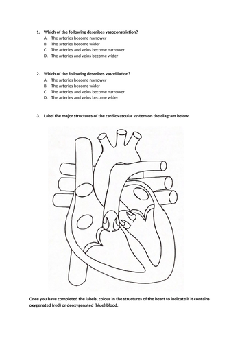 Warm Up and Cool Down Lesson