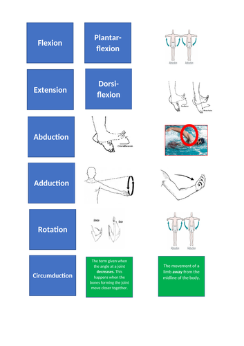 Joint Movement Matching Activity