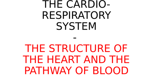 The CV System Revision