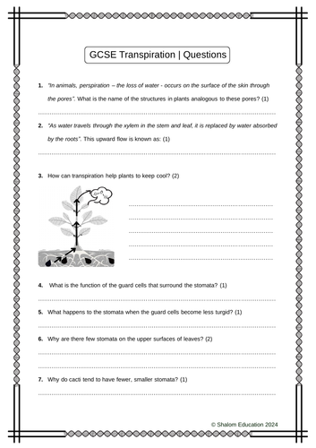 GCSE Biology - Transpiration Practice Questions