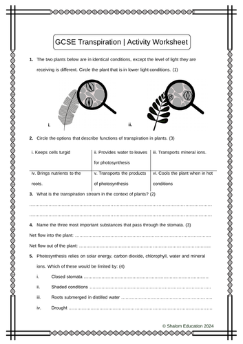 GCSE Biology - Transpiration Activity Worksheet