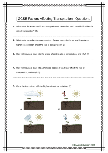 GCSE Biology - Factors Affecting the Rate of Transpiration Practice Questions