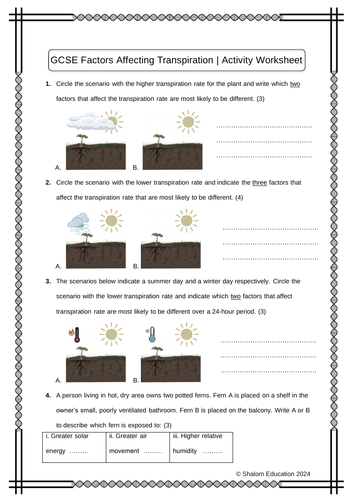 GCSE Biology - Factors Affecting the Rate of Transpiration Activity Worksheet