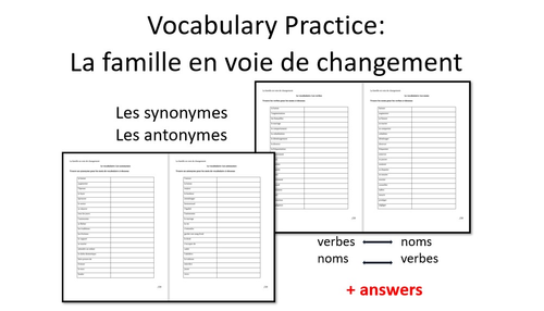 La famille en voie de changement-Vocabulary Practice- A level French