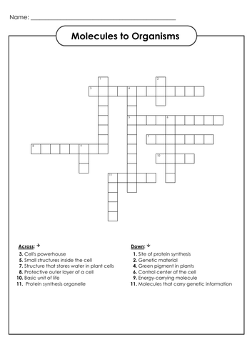 Wordsearches and Crosswords for Secondary  Science - Molecules to Organisms