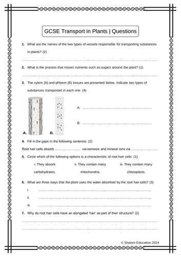 GCSE Biology - Transport in Plants Practice Questions