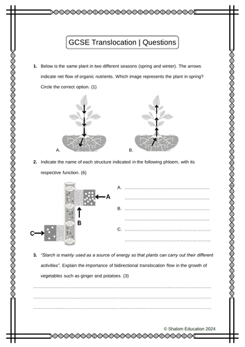 GCSE Biology - Translocation Practice Questions