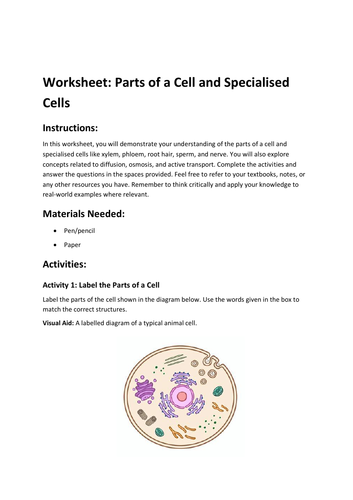 Worksheet: Parts of a Cell and Specialised Cells | Teaching Resources