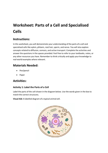 Worksheet: Parts of a Cell and Specialised Cells