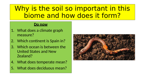 Why is the soil so important in this biome and how does it form?