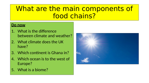 What are the main components of food chains?