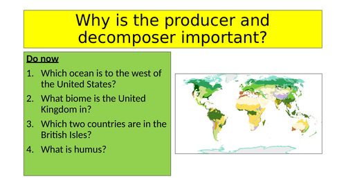 Why is the producer and decomposer important?