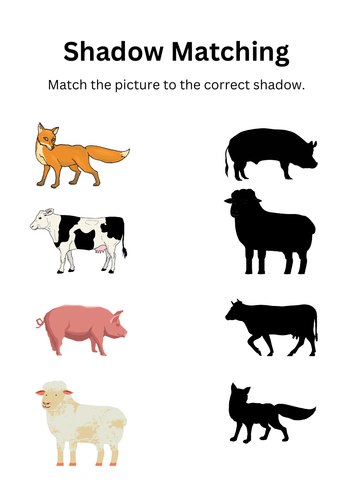 Shadow Matching