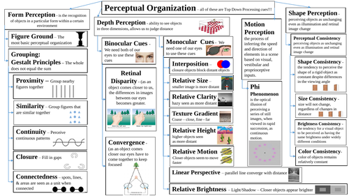 Perception Psychology Graphic Organiser