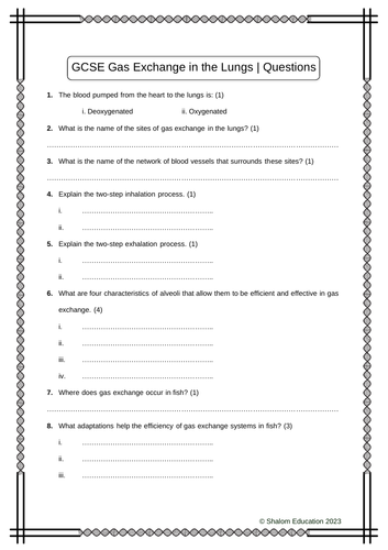 AQA GCSE Biology - Transport Systems Pack - 23 Practice Question Worksheets