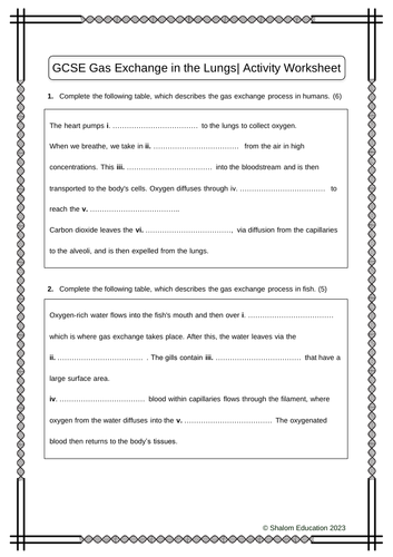 AQA GCSE Biology - Transport Systems Pack - 23 Activity Worksheets