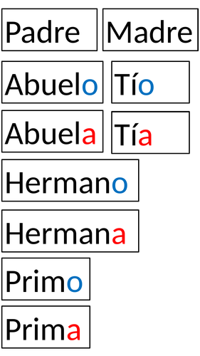 Family members / Familia flashcards or sentence builder (cut out)