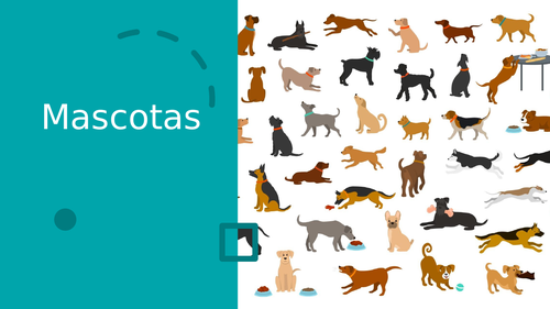 Mascotas - Pets