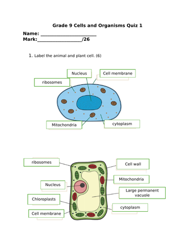 Cells and Microscopes Quiz