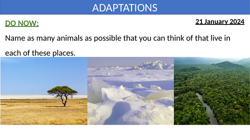 KS3 ADAPTATIONS