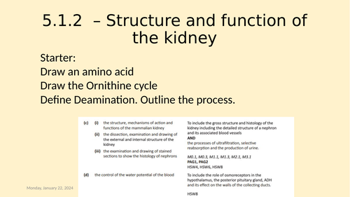 5.1.2 Ultrafiltration and selective reabsorption