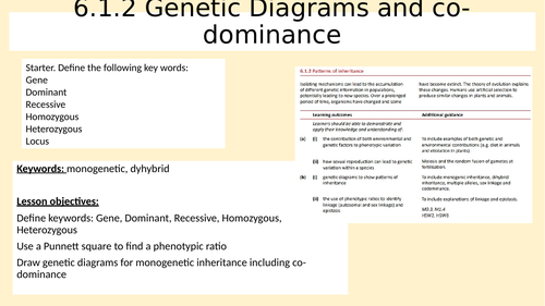 6.1.2 Genetic Diagrams and Co-dominance